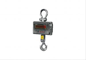 Crane Hanging Scales: TM Series Digital Wireless Heavy Duty Crane Scale