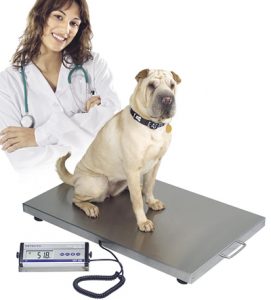 Vet Scales: WEV300 Large Animal Veterinary Scales. Capacity: 300kg x 100g.